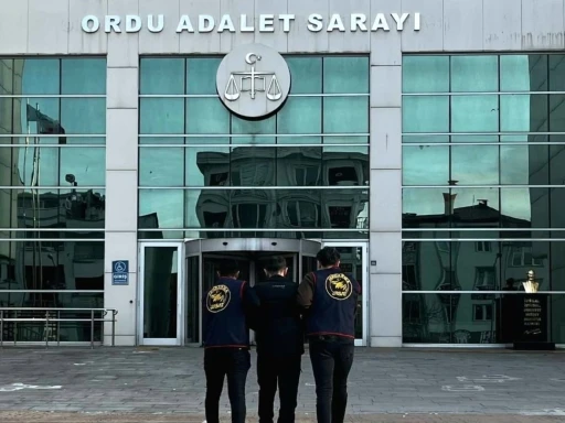 Ordu&rsquo;da jandarma 31 ş&uuml;pheliyi yakaladı: 19 tutuklama
