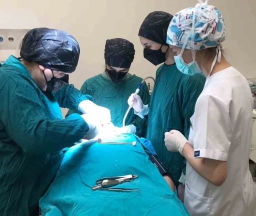 Ordu&rsquo;da &ouml;zel bireylerin diş problemlerine etkili &ccedil;&ouml;z&uuml;m
