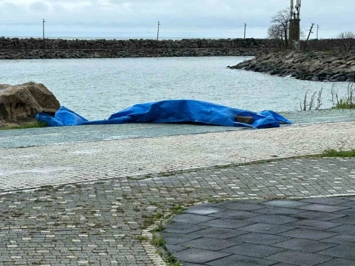 Ordu&rsquo;da sahile insansız ara&ccedil; olduğu değerlendirilen cisim vurdu
