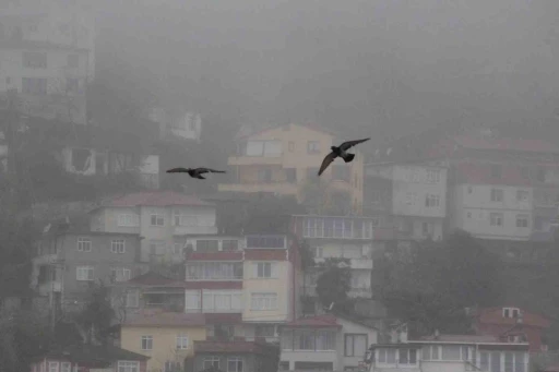 Ordu’da sis etkili oluyor
