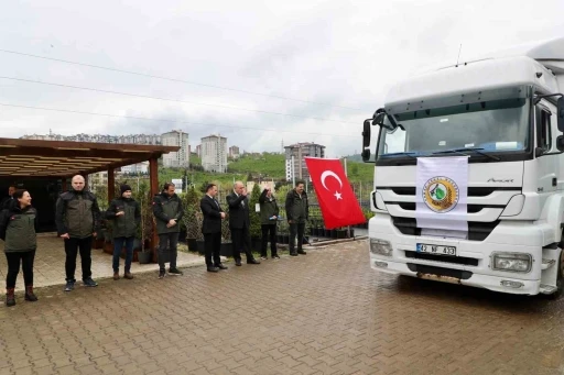 Ordu’dan Azerbaycan’a 3 tır orman fidanı gönderildi

