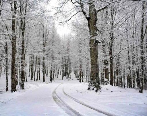 Ordu&rsquo;nun 15 il&ccedil;esinde eğitime kar engeli
