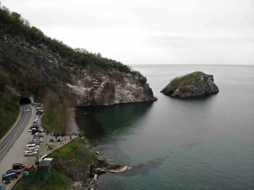 Ordu’nun ‘kuş cenneti’ ziyaretçilerini ağırlıyor
