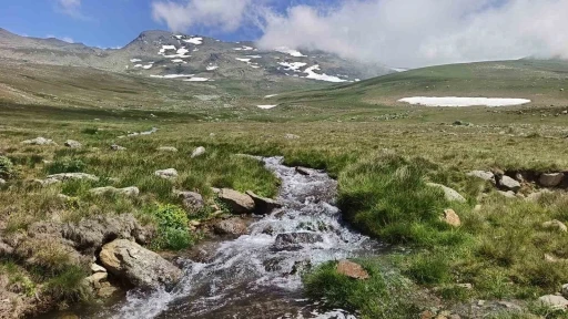 Ordu&rsquo;nun yaylalarında yaz g&uuml;zelliği
