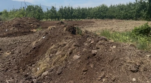 Organik g&uuml;bre fiyatları ge&ccedil;en yıl ile aynı
