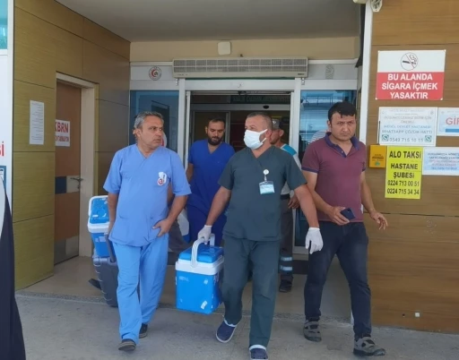 Organlarıyla 4 kişiye umut oldu
