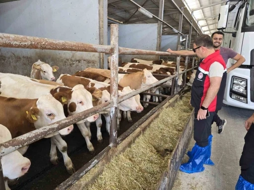 Orhaneli&rsquo;de hayvan yetiştiren işletmeler kontrol edildi
