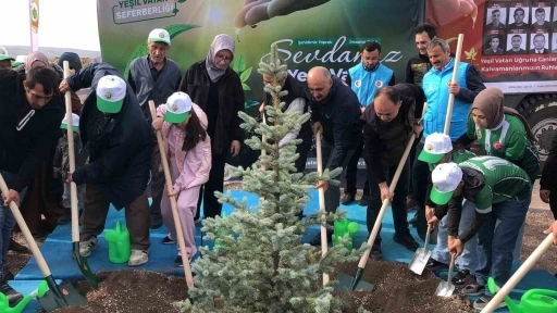 Orman şehidi Eyüp Dereli adına oluşturulan alana 15 bin fidan dikildi
