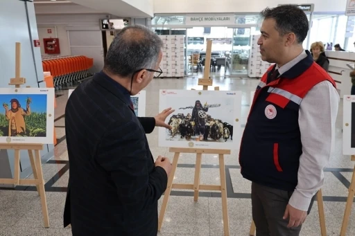 Orman ve insan fotoğraflarla anlatıldı
