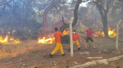 Orman yangınına ekiplerin alevlerle cansiparane mücadelesi
