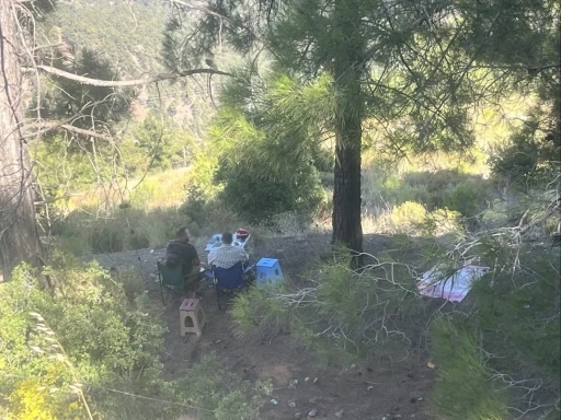 Ormanda piknik yapan 4 şahsa yasal işlem yapıldı
