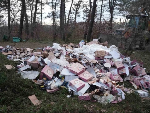 Ormanı &ccedil;&ouml;pl&uuml;ğ&uuml; &ccedil;evirmişler
