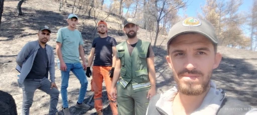 Ormanlar yeniden doğuyor: Geyve’de fidan mesaisi başladı
