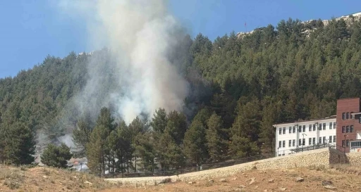 Ormanlık alanda çıkan yangın korkuttu

