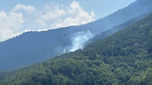 Ormanlık alanda &ccedil;ıkan yangına havadan ve karadan m&uuml;dahale
