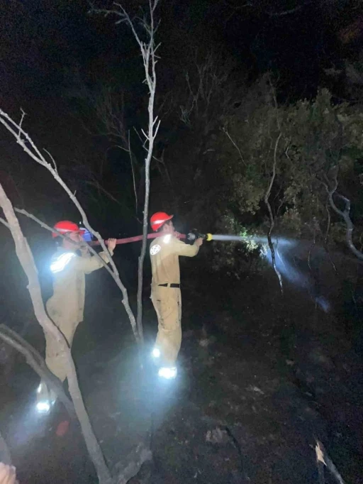 Ormanlık alandaki yangın b&uuml;y&uuml;meden s&ouml;nd&uuml;r&uuml;ld&uuml;
