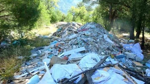 MENTEŞE&rsquo;DE ORMANLAR MOLOZ İSTİLASI ALTINDA