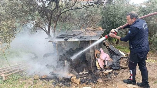 Ormanlık arazide yanan tavuk kümesi ekipleri alarma geçirdi
