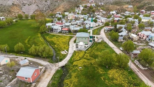 Orta Toroslardaki yaylalar görsel şölen sunuyor
