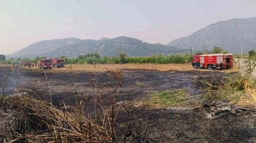 Ortaca’da sazlık yangını
