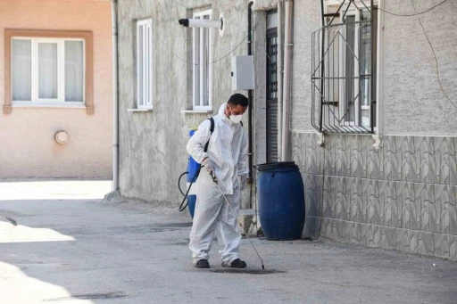 Osmangazi Belediyesi&rsquo;nden haşereye karşı anında m&uuml;dahale

