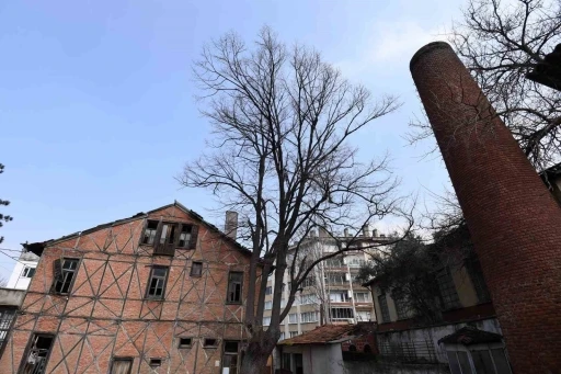 Osmangazi&rsquo;de Roman Gal ve Arkeo Park projeleri Bursa&rsquo;nın k&uuml;lt&uuml;r hayatına kazandırılıyor
