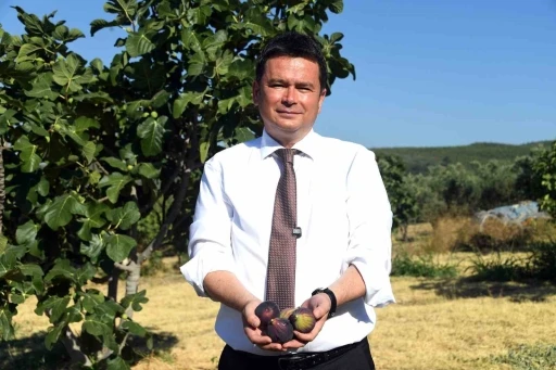 Osmangazi’den dünyaya açılan lezzet &quot;Bursa siyah inciri&quot;
