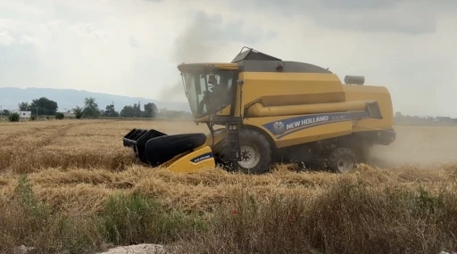 Osmaniye&rsquo;de 15 g&uuml;n gecikmeli başlayan hasatta y&uuml;ksek verim sevinci

