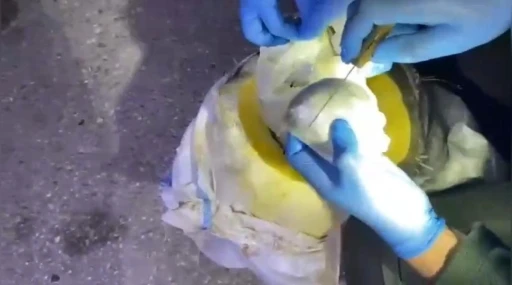 Osmaniye’de bal kabağından uyuşturucu çıktı
