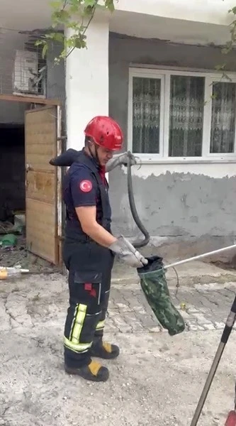 Osmaniye&rsquo;de evin bah&ccedil;esinde g&ouml;r&uuml;len yılan yakalandı
