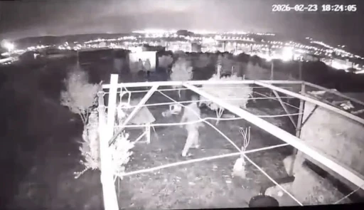Osmaniye&rsquo;de hobi bah&ccedil;esine giren hırsızlar 25 g&uuml;vercini &ccedil;aldı
