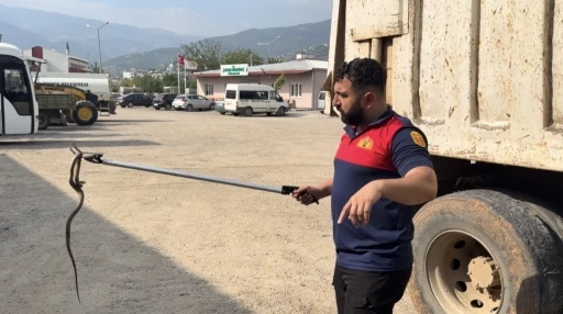 Osmaniye&rsquo;de ka&ccedil;ak yolcu yılan, &uuml;&ccedil;&uuml;nc&uuml; ara&ccedil;ta yakalandı
