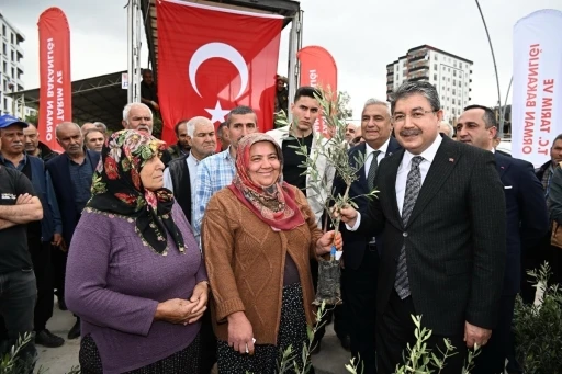Osmaniye’de üreticiye 11 bin 500 sertifikalı zeytin fidanı dağıtıldı
