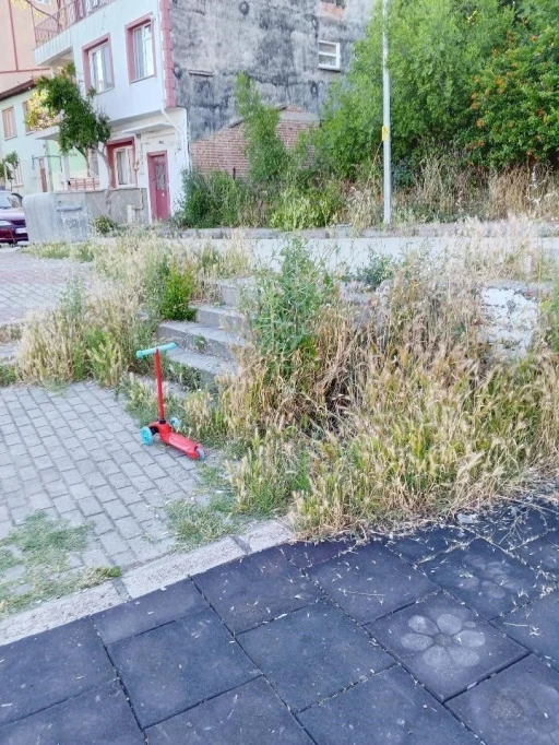 Otluk alana d&ouml;nen bu park bakım ve temizlik bekliyor
