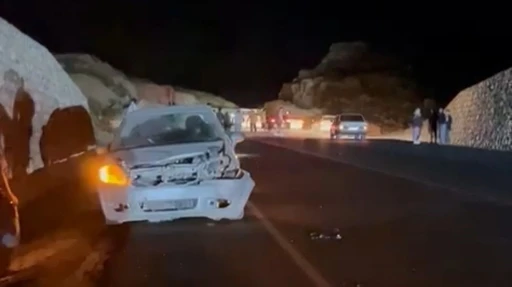 Otomobil domuza çarptı
