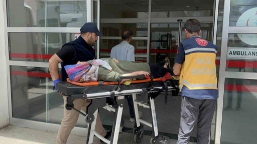 Otomobil şarampole devrildi: 8 yaralı
