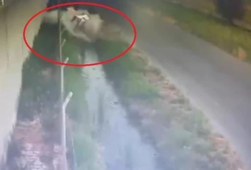 Otomobil sulama kanalına uçtu
