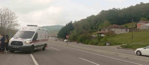 Otomobil tarlaya uçtu, dede ve iki torunu yaralandı

