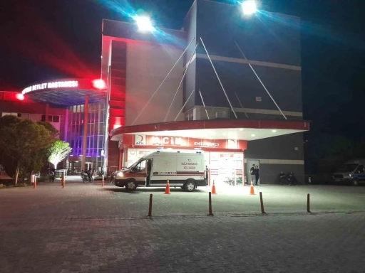 Otomobil yola &ccedil;ıkan k&ouml;peğe &ccedil;arptı: 4 yaralı
