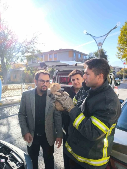 Otomobilin motor kısmına sıkışan yavru kedi itfaiye ekiplerince kurtarıldı
