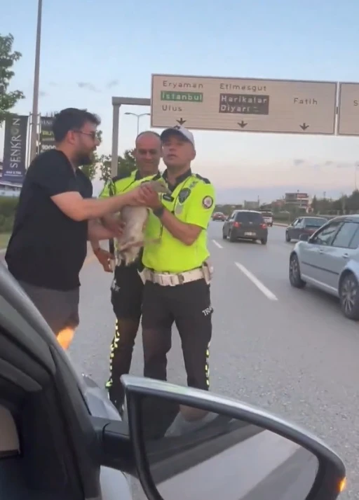 Otoyola atlayan ördek, duyarlı vatandaşlar ve trafik polislerinin müdahalesi ile kurtarıldı
