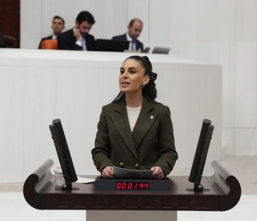 Özcan'dan Demokratik Direnişe Baskıya Sert Tepki