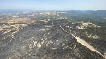 (ÖZEL) Çanakkale’deki 3 büyük orman yangınında 10 bin 612 futbol sahası büyüklüğünde alan yandı
