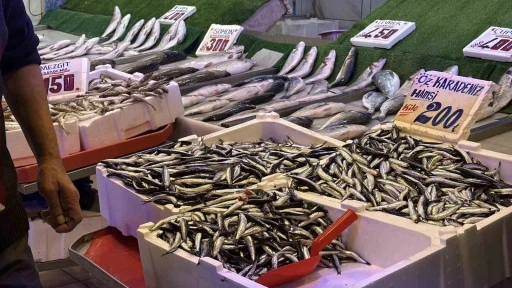 Palamudun yokluğunu Karadeniz’in vazgeçilmezi hamsi tamamlıyor
