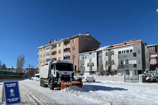 Paland&ouml;ken Belediyesi karla m&uuml;cadelede sahada
