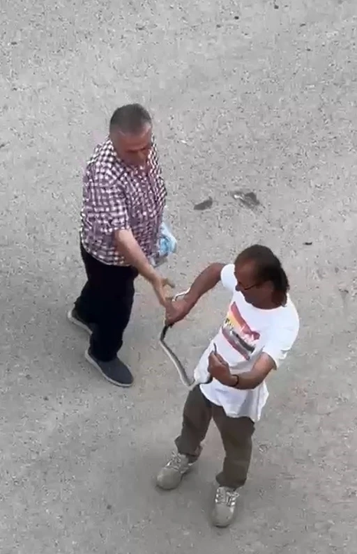 Paniğe sebep olan yılanı eliyle yakaladı
