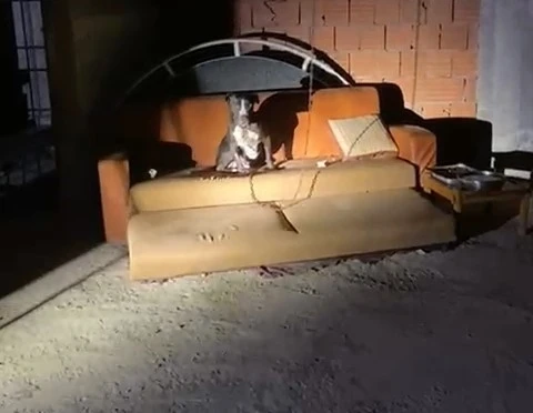 Panik yaşayan mahalle sakinleri konuştu
