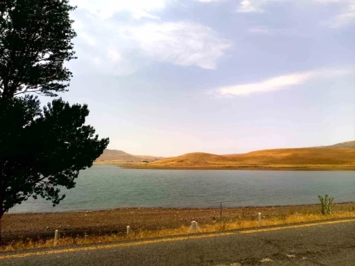 Patnos Barajı kuraklık ve çevre kirliliği tehdidi altında
