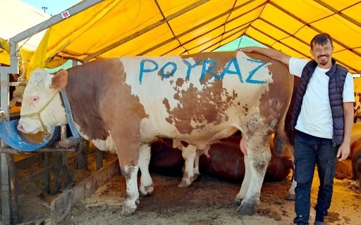 Pazarın ağır abisi &quot;Poyraz&quot; ilk günden satıldı
