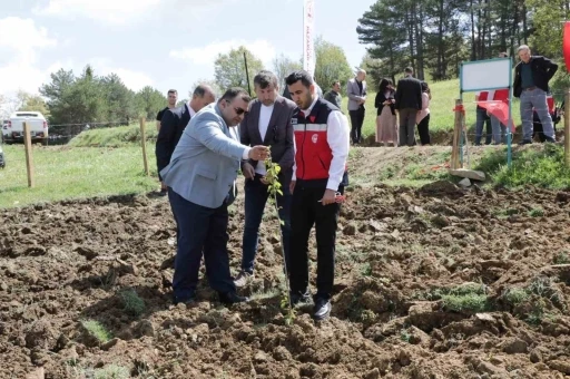 Pazarlar&rsquo;da atıl durumdaki hazine arazisi tarıma kazandırıldı
